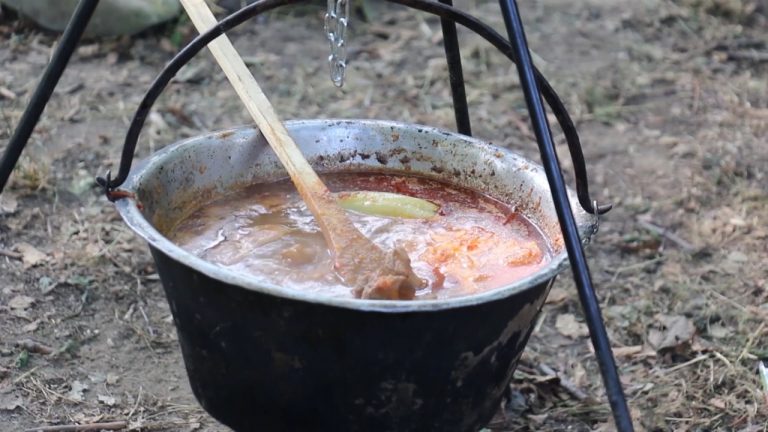 Održana je druga Gulašijada Pogled 2019. Održana je druga Gulašijada Pogled 2019. - Lokal Info