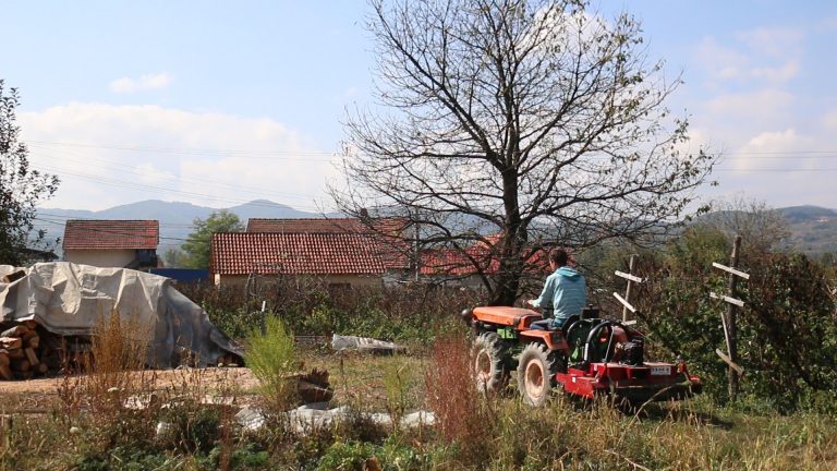 Nov tarup za mladog poljoprivrednika - Lokal Info