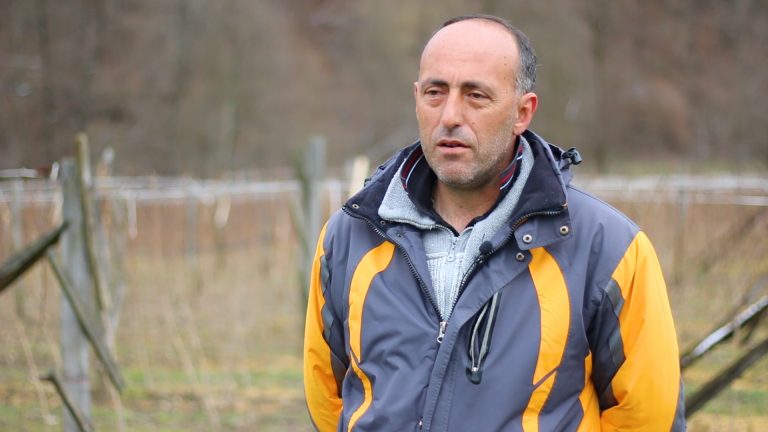 Predstavnici Asocijacije malinari Srbije stupili su u kontakt sa Ministarstvom u cilju pronalaska adekvatnog rešenja - Lokal Info