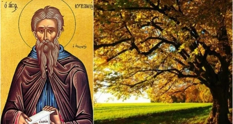 Miholjdan uz kišu i hladno vreme - Lokal Info