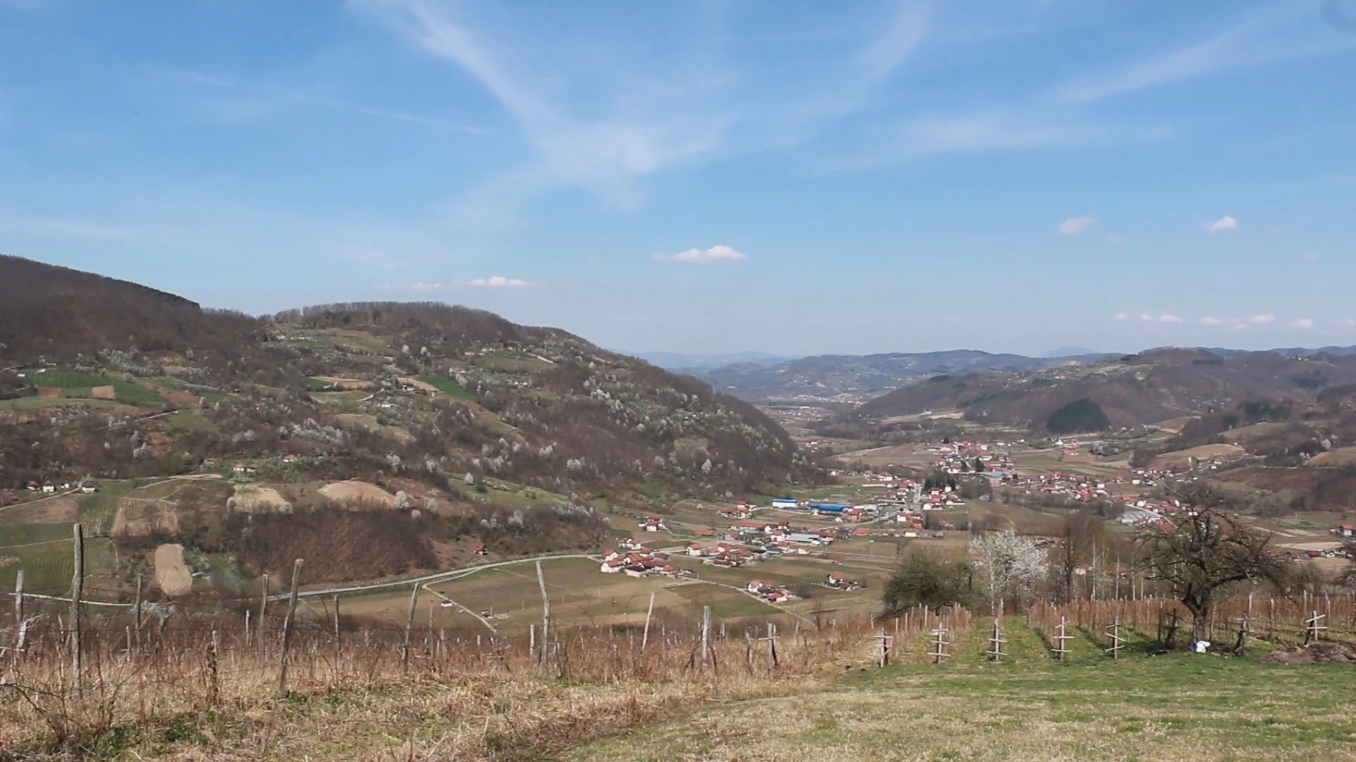 Budžet za poljoprivredu u opštini Arilje na nivou prošlogodišnjeg - Lokal Info
