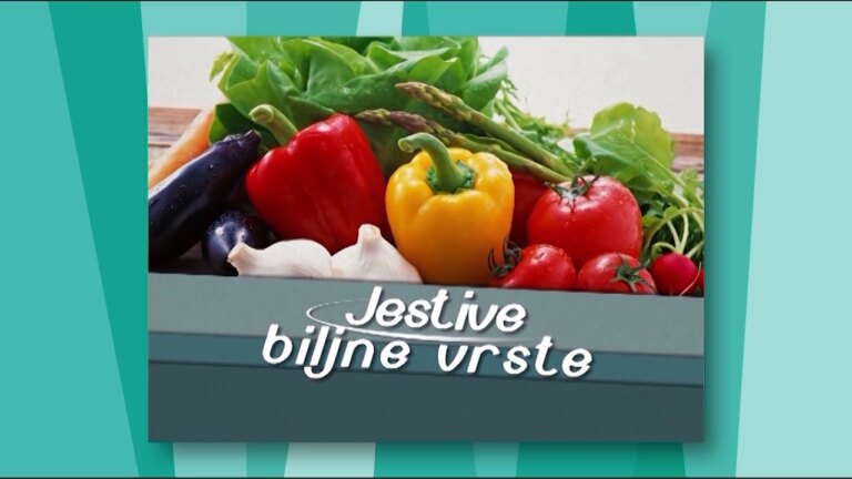 Jestive biljne vrste Jestive biljne vrste - Lokal Info