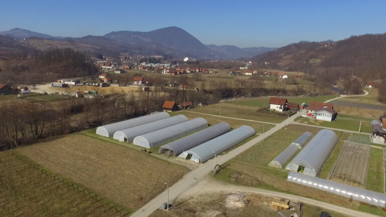 Da od rada na selu može lepo da se živi pokazuje primer porodice Tošović iz Prilika Da od rada na selu može lepo da se živi pokazuje primer porodice Tošović iz Prilika - Lokal Info