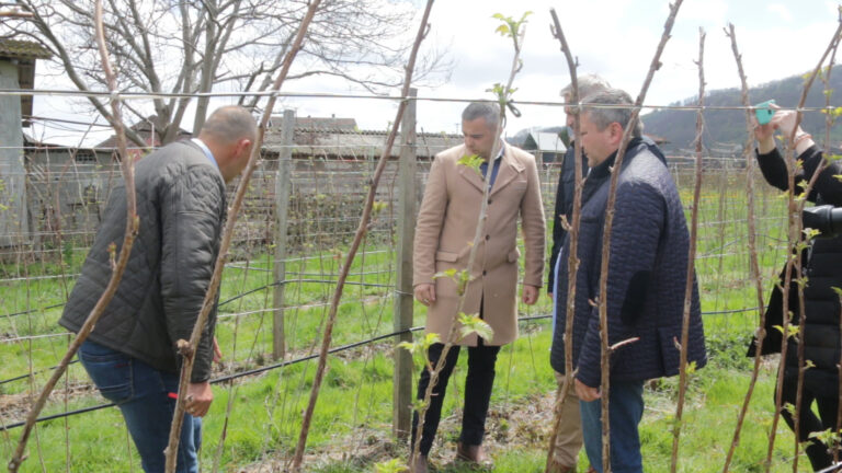 Po oceni stručnjaka rod maline za četvrtinu manji ove godine Po oceni stručnjaka rod maline za četvrtinu manji ove godine - Lokal Info