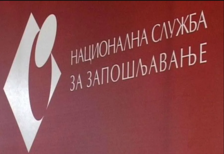 Nacionalna služba za zapošljavanje raspisala 13 javnih poziva Nacionalna služba za zapošljavanje raspisala 13 javnih poziva - Lokal Info