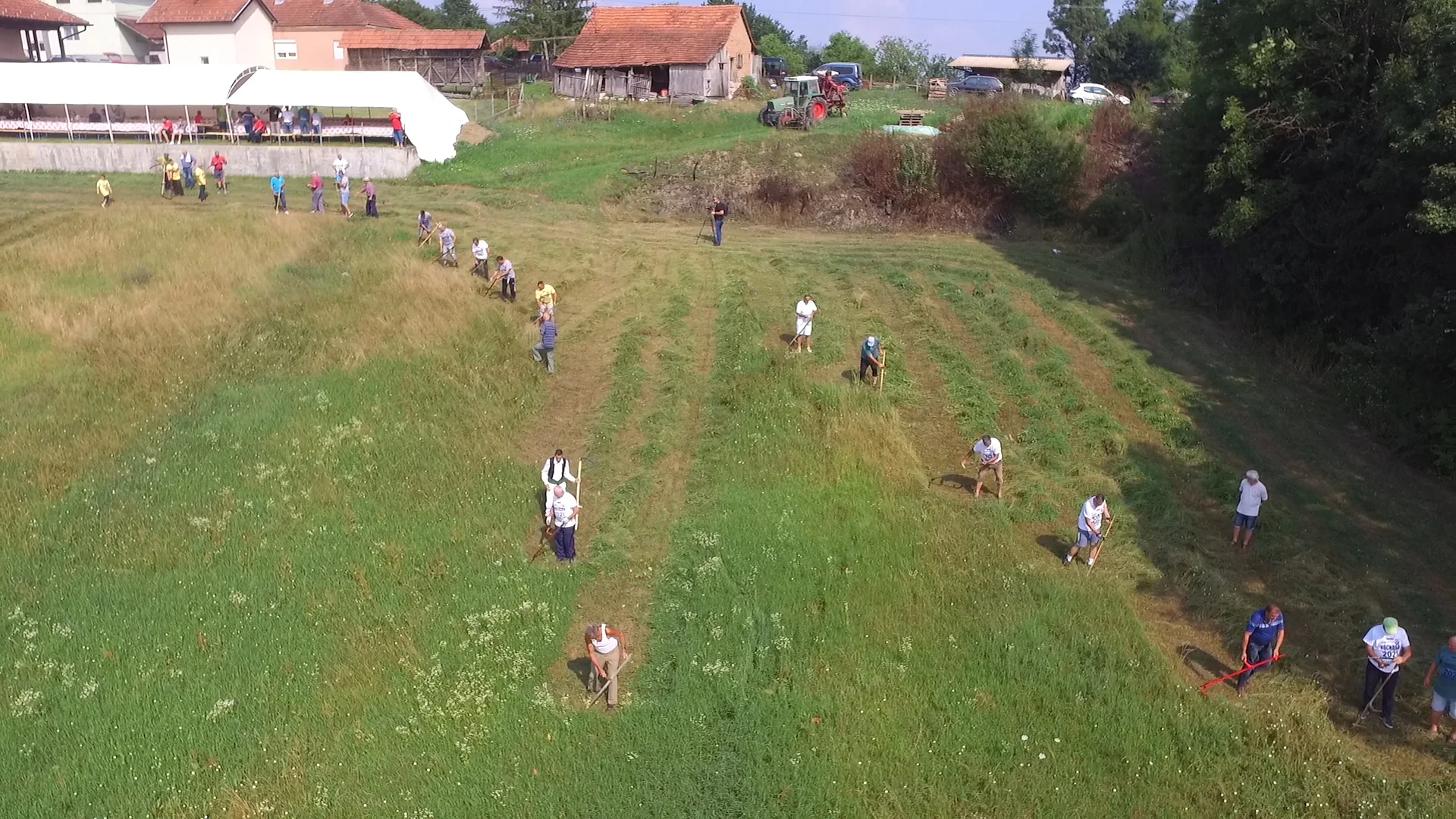 Održana 13. kosidba u Milicevom selu - Lokal Info