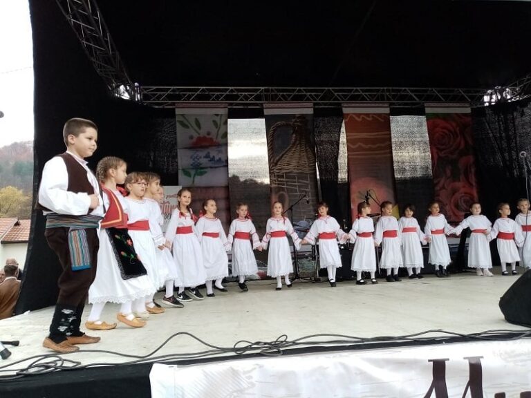 Završena šesta po redu manifestacija ,,Mitrovdan u Viči“ - Lokal Info