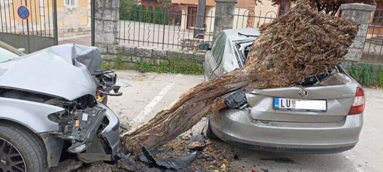 Guča: Pod dejstvom kanabisa izazvao saobraćajnu nezgodu Guča: Pod dejstvom kanabisa izazvao saobraćajnu nezgodu - Lokal Info