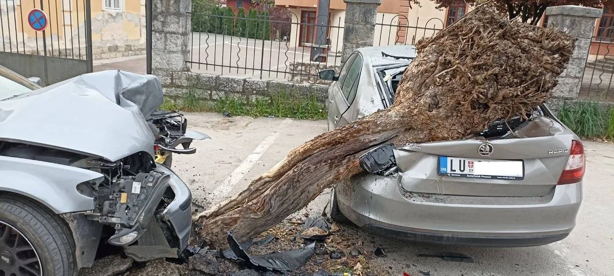 Guča: Pod dejstvom kanabisa izazvao saobraćajnu nezgodu - Lokal Info