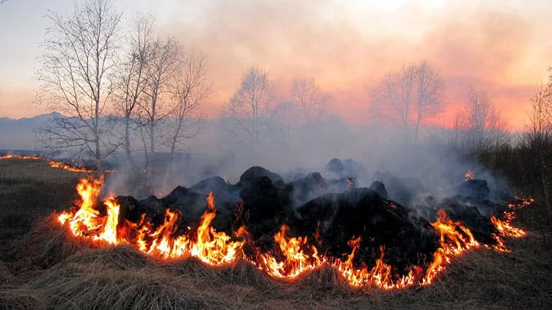 Apel za ne izazivanje požara na otvorenom - Lokal Info