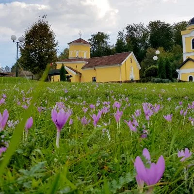 Crkva Rođenja Presvete Bogorodice u Goračićima - Lokal Info
