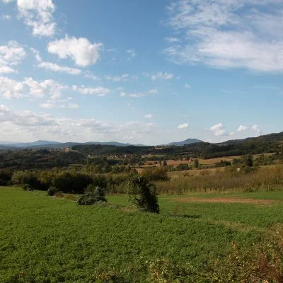 Dragačevski krajolici - Lokal Info