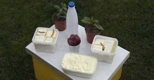 Dramlići iz Guče započeli i preradu mleka - Lokal Info