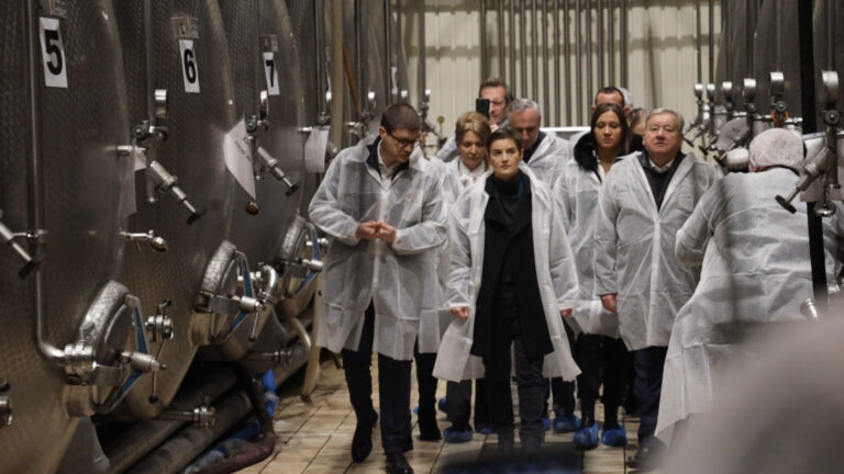 Premijerka Srbije Ana Brnabic obisla fabriku Budimka - Lokal Info