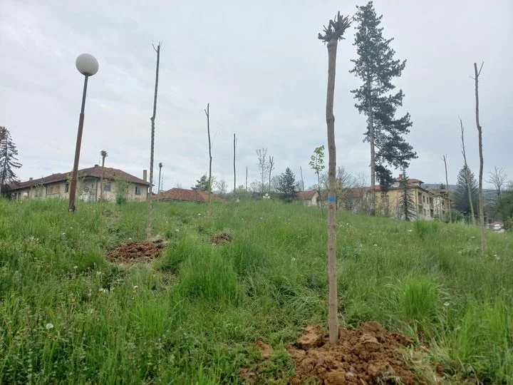 OZELENjAVANjE VAROŠICE LUČANI - Lokal Info