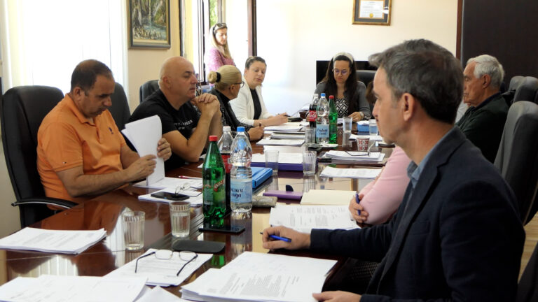 Većnici usvojili plan podrške poljoprivredi i korekciju cena zakupa javnih površina za ugostitelje u Arilju - Lokal Info