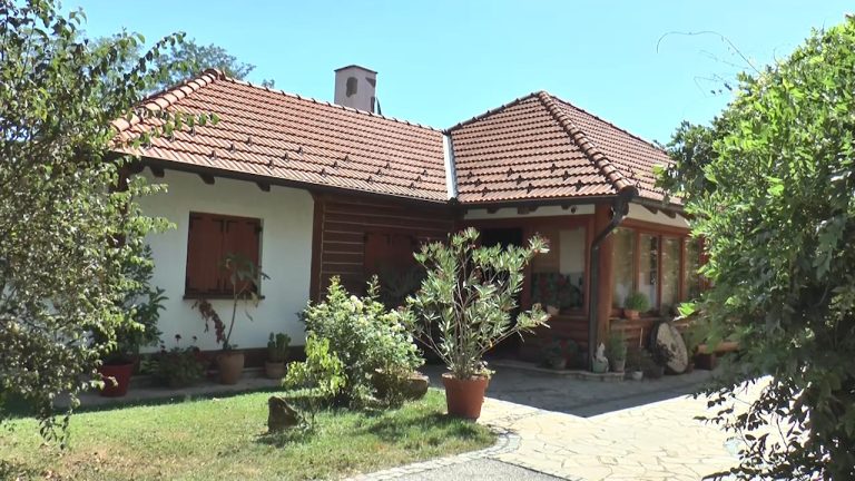 Turistički raj u Vranjici: Luksuzni smeštaj i botanička bašta nadomak Guče Turistički raj u Vranjici: Luksuzni smeštaj i botanička bašta nadomak Guče - Lokal Info
