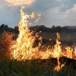 MUP apeluje: Ne palite travu i nisko rastinje, posledice mogu biti katastrofalne  Od početka godine u Srbiji je zabeleženo više od 17.000 vanrednih događaja, a skoro 7.500 požara izbilo je na otvorenom prostoru.