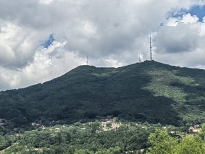 IMG_4005