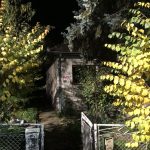 Stradala zena u pozaru u Arilju