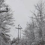 Struja se vraća u Dragačevo: Ekipe na terenu, 500 domova bez napona