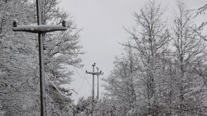 dalekovod pod snegom