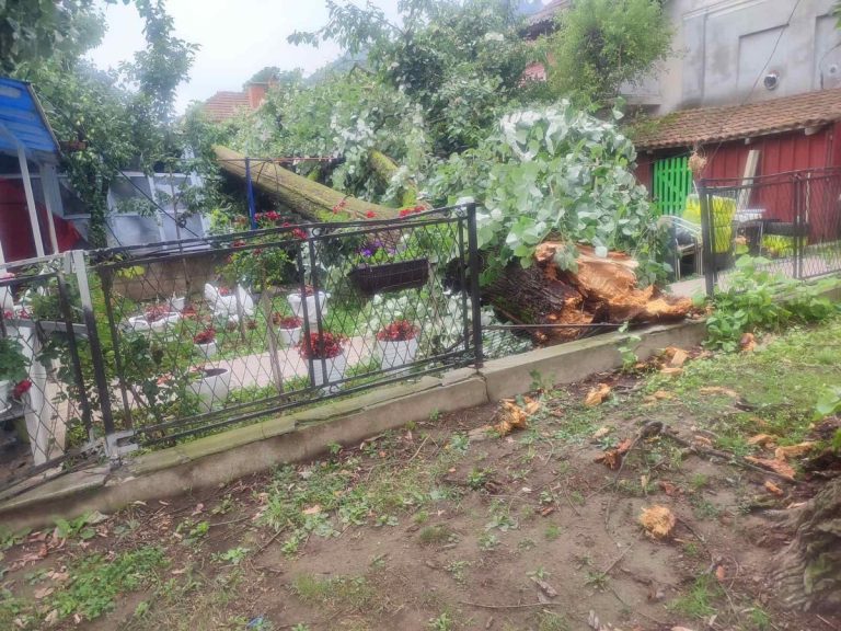 Nevreme u Guči oborilo stabla u centru varošice