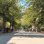 Glavna ulica biće rekonstruisana sa dvorednim drvoredom