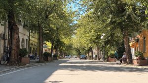 Glavna ulica u Arilju koja će biti rekonstruisana sa dvorednim drvoredom