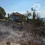 Požar u Cerovi: Vatrogasci sprečili širenje vatre na kuću