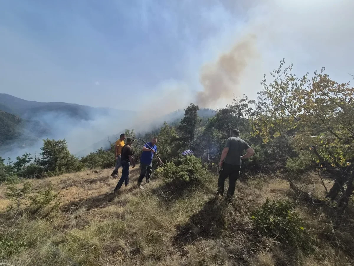 Veliki šumski požar kod Kaone u opštini Lučani